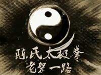 陈氏太极拳74式 老架一路（全教程）下载
