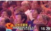 白忙活要账下载
