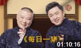 每日一猪