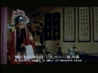 豫剧电影《包青天》 上集 张宝英饰演秦香莲