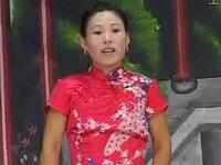 河南坠子《大明奇冤》第二部