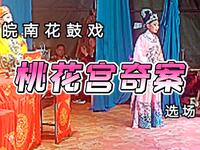 皖南花鼓戏《桃花宫奇案》选场下载