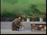 姚剧现代戏《兰花女》全剧