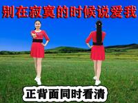 DJ广场舞《别在寂寞的时候说爱我》