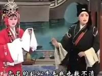 太康道情《张廷秀私访》全剧 天下第一团下载
