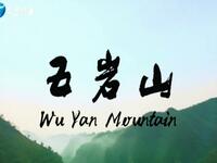 豫剧电影《五岩山》全集下载