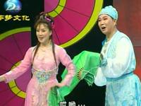 东北二人转正戏《西门庆全传》第6集 痛失李瓶儿下载