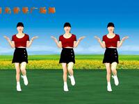 新歌DJ广场舞《能不能给我个理由》歌曲伤感