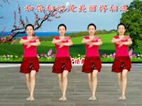 广场舞《来世不再错过你》简单易学附教学