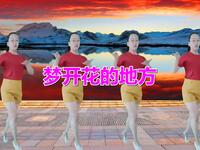 广场舞《梦开花的地方》旋律动听
