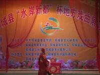 柳子戏《打登州》全集下载