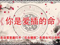 你是爱插的命