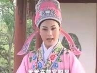 黄梅戏《走投无路的爱情》