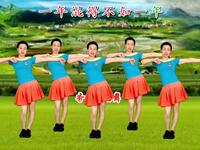 广场舞《打工依旧》简单好看附教学