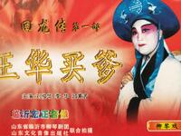 柳琴戏《回龙传》《王华买爹》全集 山东省临沂市柳琴剧团演出下载