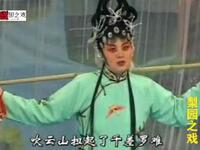豫剧《贤良女白海棠》白海棠割肝孝母