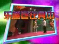 东北二人转《采花香》第20 集下载