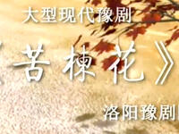 豫剧《苦楝花》高清全集下载