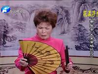 河南坠子《大宋金鸠记》全集