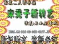 二人转《宋秃子新转艺》