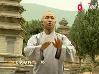 韦陀十二式易筋经