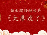 大象瘦了