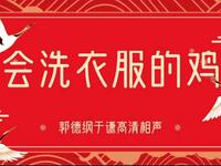 会洗衣服的机