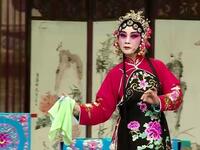 柳琴戏《金玉奴》临沂市柳琴戏传承保护中心