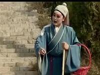 琴书《九死还阳传》全集