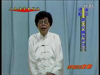 孙氏太极拳97式(孙剑云)下载