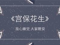 宫保花生
