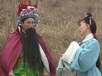 黄梅戏《桃花恋传》全集