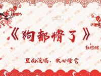 狗都懵了