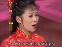庐剧 《生儿子还债》全剧