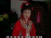黄梅戏《新婚赶考记》选集下载