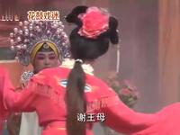 花鼓戏《柳毅传书》全集