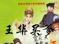 大鼓书《回龙传》全集