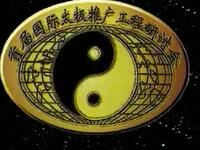 陈氏太极拳新架全集下载