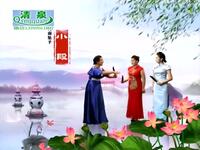 河南坠子《岳飞传》全集