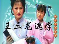 琴书《王三龙逃学》全集