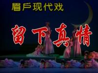 眉户《留下真情》全集 陕西省戏曲研究院下载