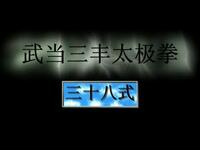 武当陈师行38式太极拳下载