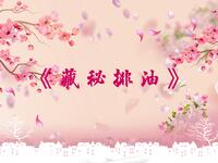 藏秘排油