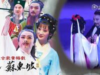 原创黄梅戏《东坡》全剧下载