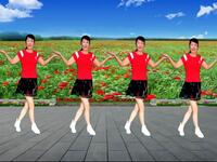 中老年广场舞《马缨花情歌》64步好看易学慢动作分解下载