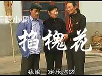 沂蒙小调《掐 槐花》
