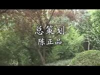 安徽推剧《泪美人》全剧