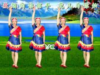 广场舞《云中草原》简单易学 附教学