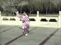 四十八式太极拳李德印主讲下载
