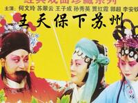 琴书《王天保下苏州》全集